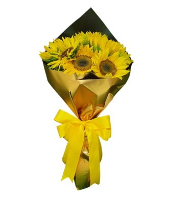 Girasol