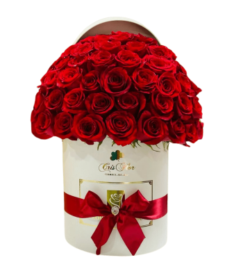 Box elegante