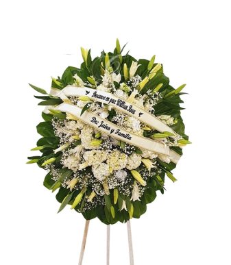 Condolencias C-3