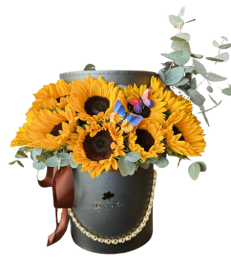 Caja 20 girasoles 022