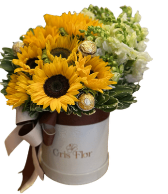 Caja 8 girasoles 036