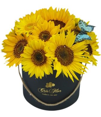 Flor del sol
