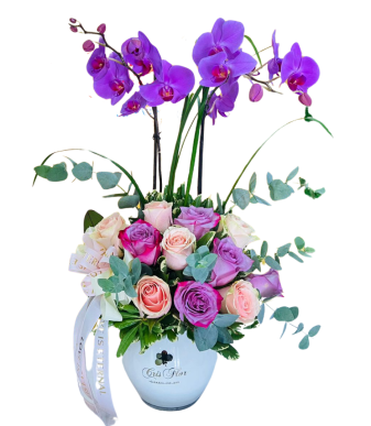 ORQUIDEA 052