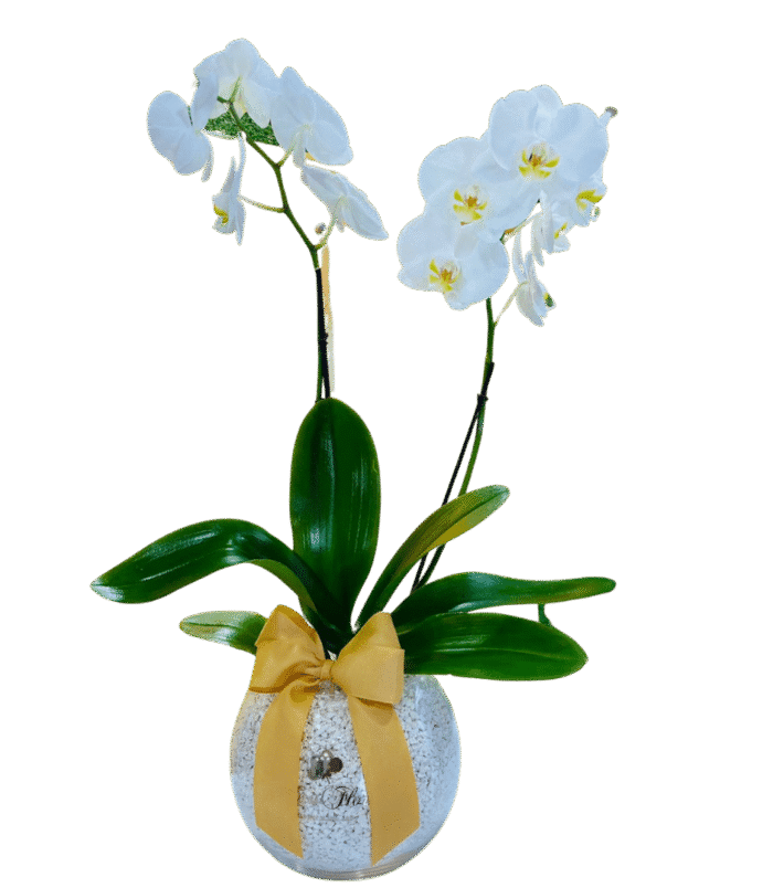 53-1.png 53-1.png