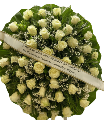 Condolencia C-13