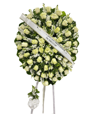 Condolencia C-5