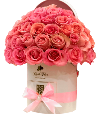 Pink Love