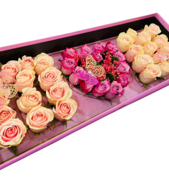 Caja MOM
