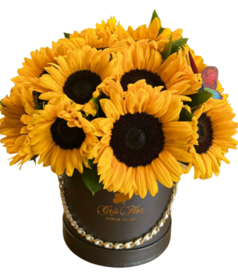 Caja de girasoles