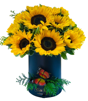Caja de girasoles
